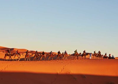 7-Day Agadir to Sahara & Marrakech Tour