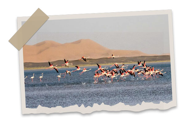Srij-Salt-Lake-in-Merzouga-desert Sunset Merzouga Camel Trekking