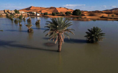 Does It Rain in the Moroccan Sahara Desert? | Truth About Water in the Desert