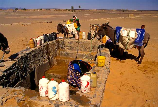 What Does the Moroccan Sahara Desert Miss?