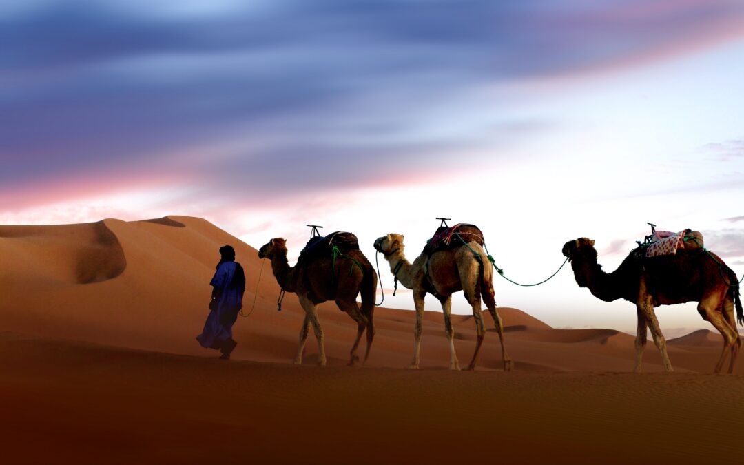 8 Days Morocco Tour from Marrakech to Tangier