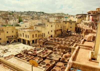 1 Day Trip from Fes to Ziz Valley