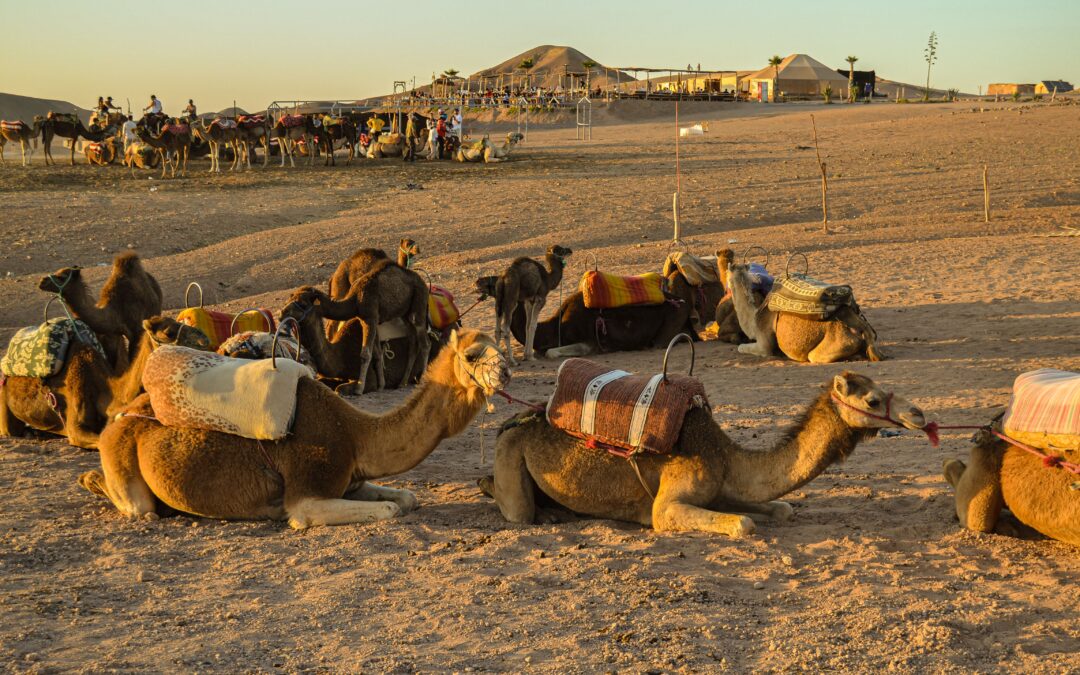 2 Days Tour from Marrakech to Erg Chigaga Desert