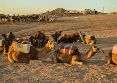 2 Days Tour from Marrakech to Erg Chigaga Desert