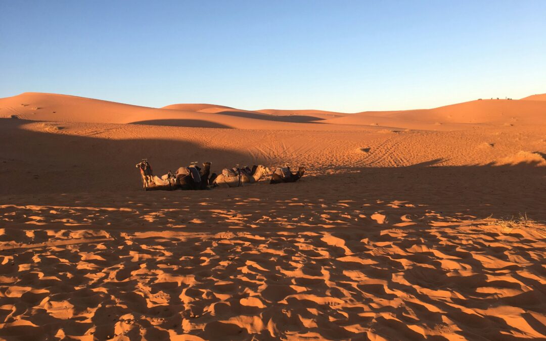 2-Day Tour from Errachidia to Merzouga Desert