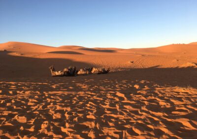 2-Day Tour from Errachidia to Merzouga Desert