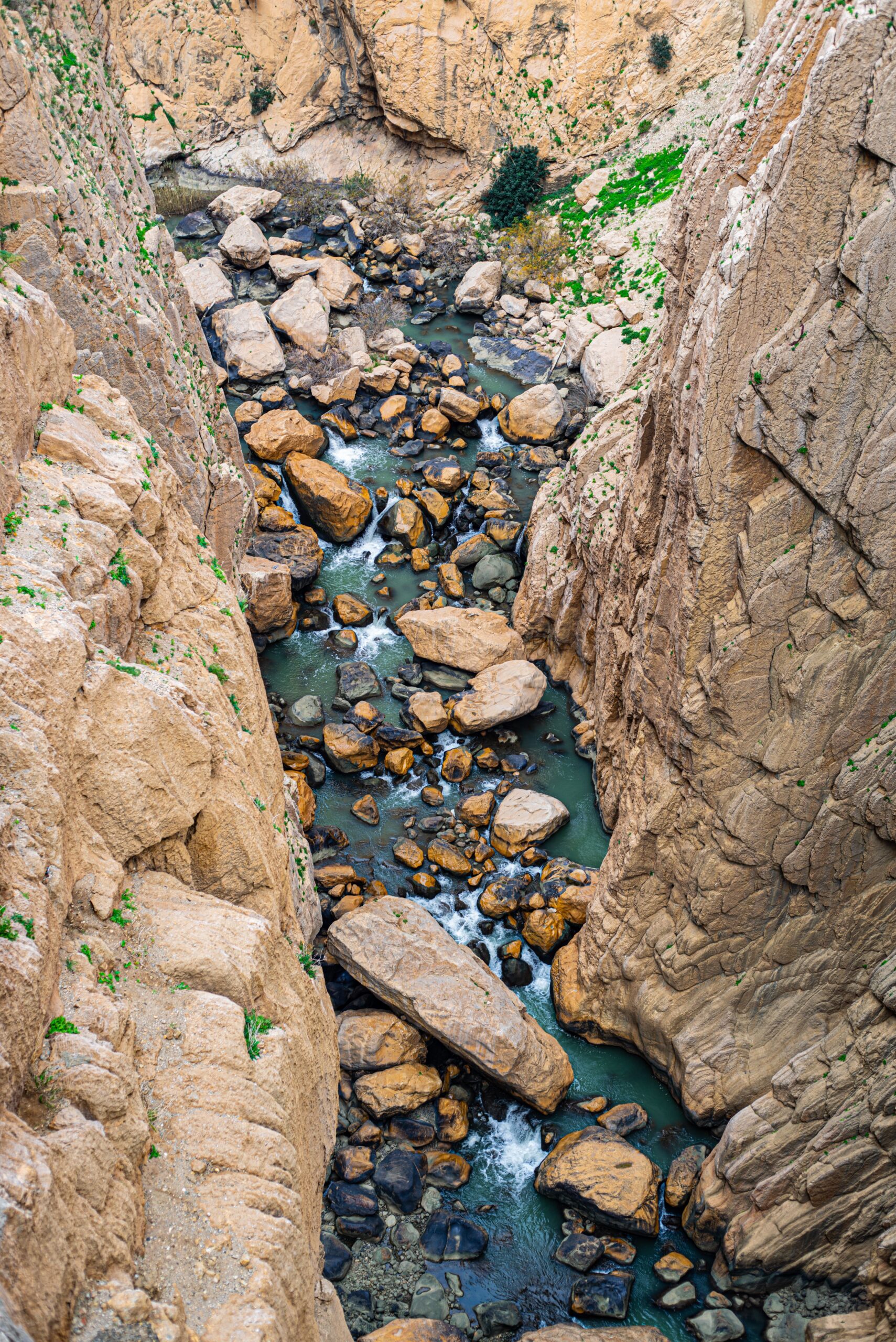 Dadès Gorge road trip